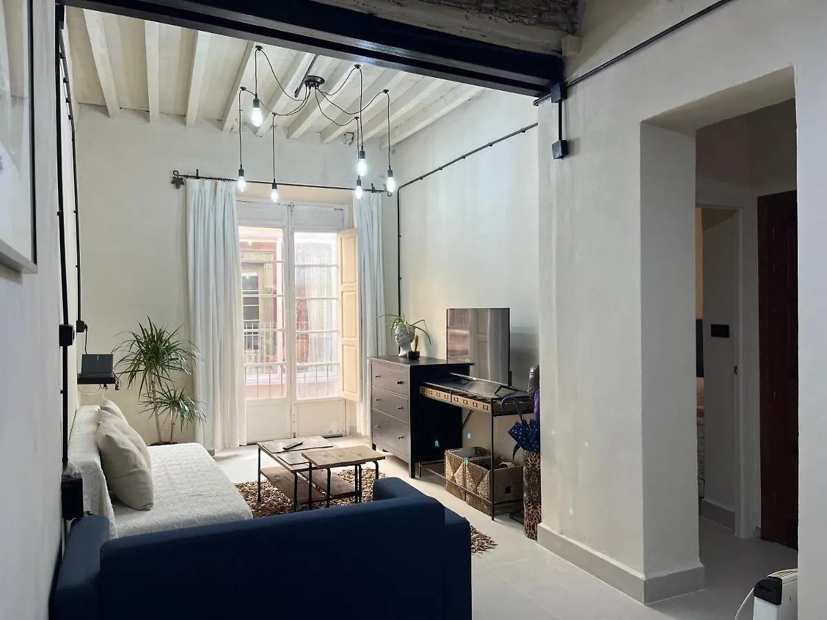Apartamento Malaga Centro Triton 0*,  Spain