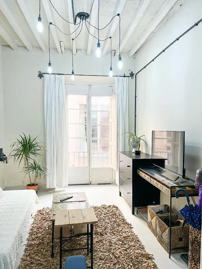 Apartamento Malaga Centro Triton Apartment