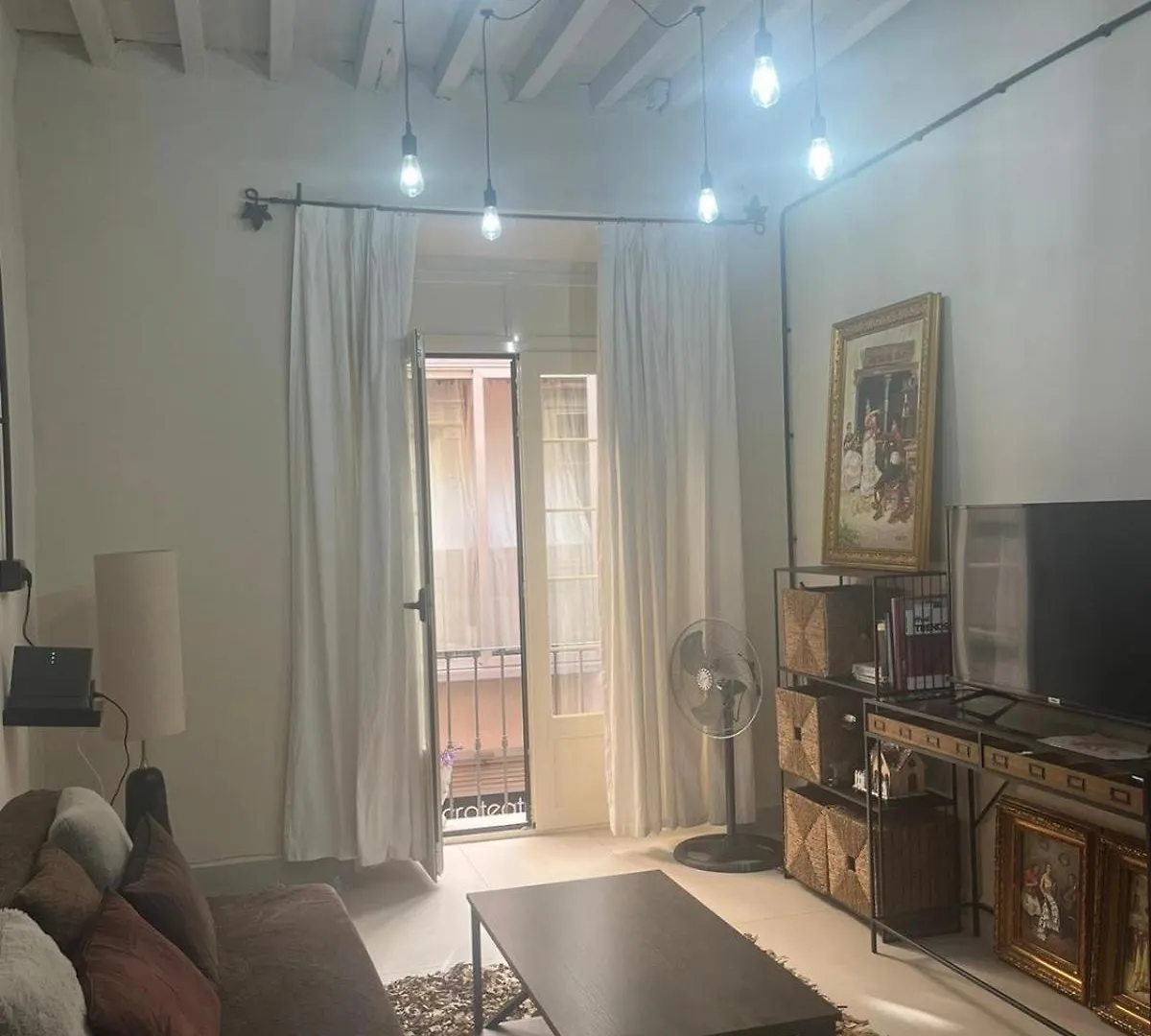 Apartment Apartamento Malaga Centro Triton Spain
